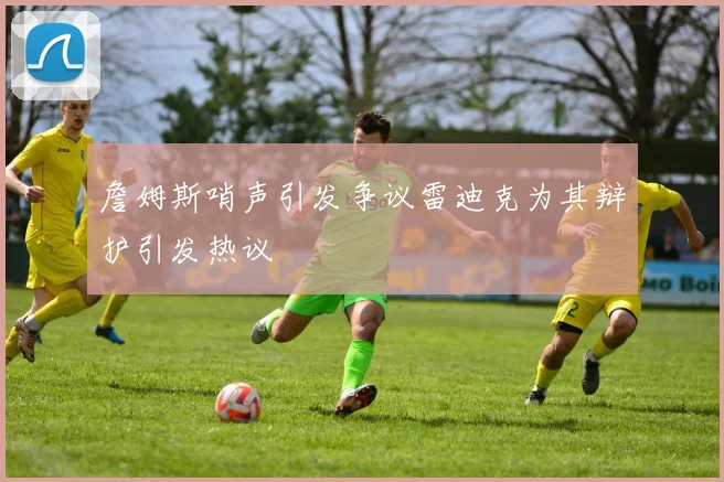 詹姆斯哨声引发争议雷迪克为其辩护引发热议